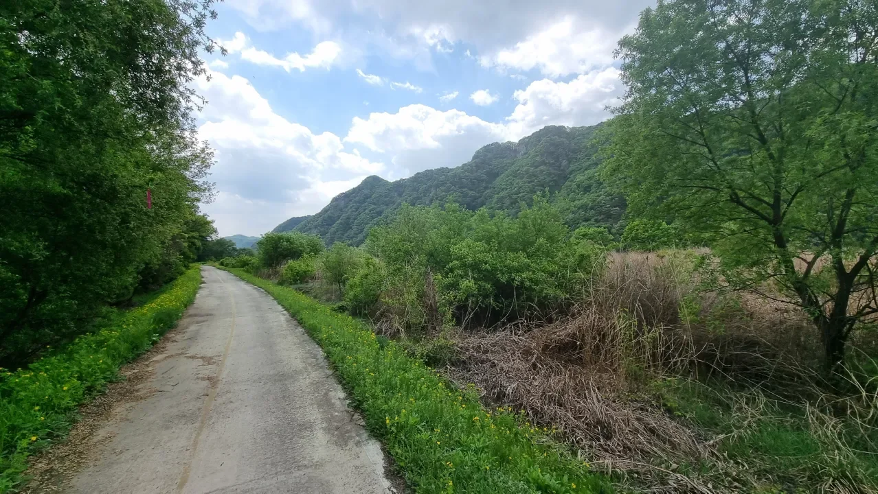 재산분할 준비, 체계적으로 정리해주셔서 감사합니다 이용후기 사진