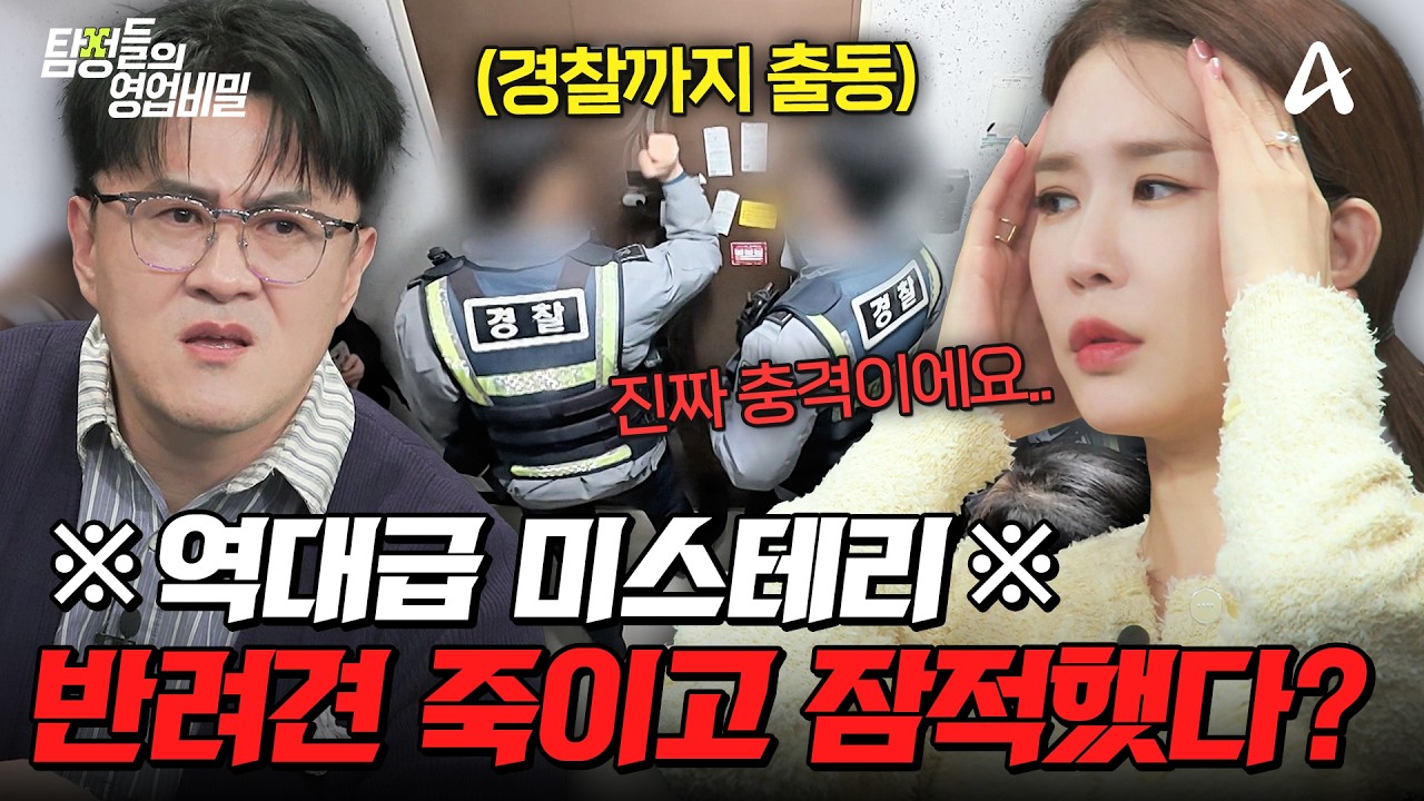 탐정들의영업비밀 109회 2026.05.04 방영 임시 보호 반려견 실종과 위장 불륜 사건 총정리