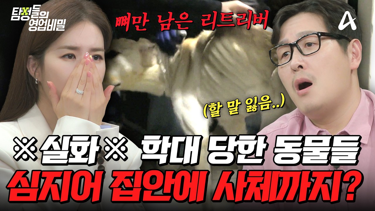 탐정들의영업비밀 110회 2026.05.12 방영 애니멀 호더 구조 사건과 며느리를 밀어낸 계획 총정리