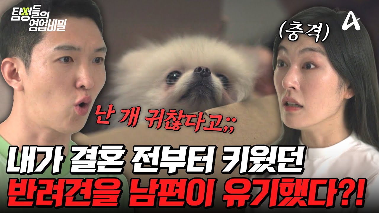 탐정들의영업비밀 76회 2025.09.01 방영 남편이 버린 반려견과 방치된 조카들 총정리