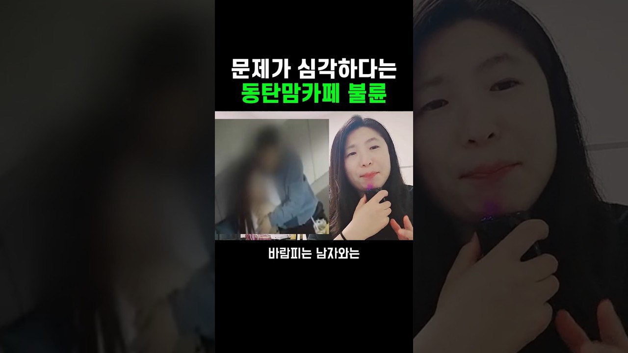 동탄 맘카페 불륜 가이드라인 유출 논란, 영상 내용과 확인되지 않은 부분 정리